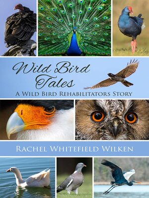 cover image of Wild Bird Tales: a Wild Bird Rehabilitator's Story
